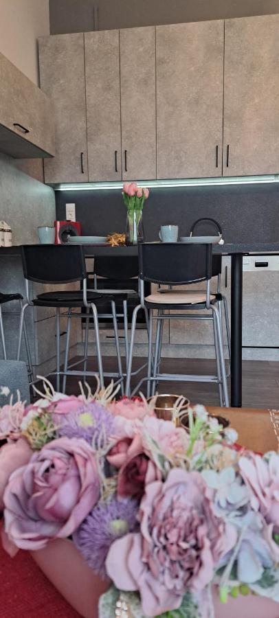 Napraforgo Apartman Apartment Сегед Екстериор снимка